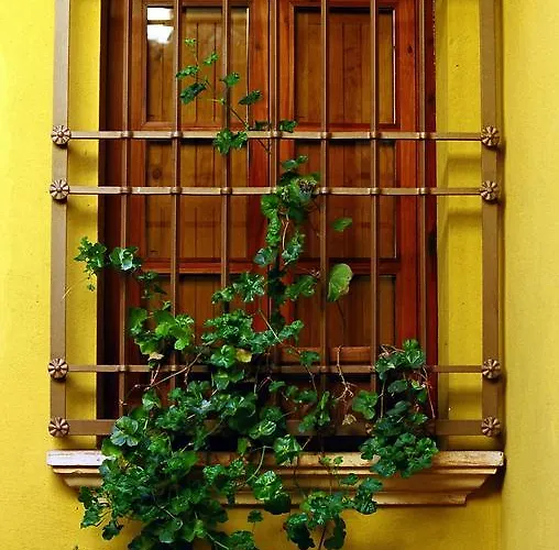 Hotel Casona De La Reyna 3*